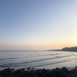 카페, 인테리어, 소품, 배경, 자연, 의자, 테이블, 감성, 커피, 아메리카노, 카메라, 대형카페, 조용한, 편안한, 디자인, 노을, 오름, 풀, 에어비앤비, 주택, 정리, 바다, 파도, 물결, 강