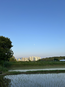 자연, 풍경, 동물, 노을, 하늘, 바다, 물결, 꽃, 음식, 무지개, 감성