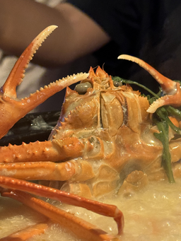 게요리, 바닷가재, 해산물, 요리, 해물탕, 국물요리, 꽃게탕, 식욕, 자극, 음식사진, 해물찜, 탕요리, 뜨거운, 음식, 전골, 클로즈업, 한국, 한식, 해물, 식사, 시간, 맛집, 게탕, 사진, 김, 나는, 바다, 식도락, 따뜻한, 촬영