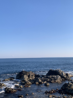 바다, 파도, 돌, 감성, 영덕, 배경화면