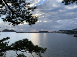 나무, 바다, 하늘, 노을, 빛, 섬, 넓은하늘, 넓은바다, 제주도, 구름