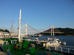 물, 해안가, 선박, 포트, 보트, 요트, 교각, 항구, 짐배, 사람