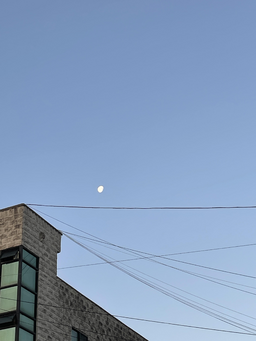 하늘, 달, 하얀달, 전깃줄, 건물, 감성사진, 저녁, 하늘색, 흰색, 도시