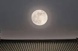 천문학, 달, 자연, 밤, 옥외, 만월