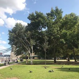 여행, 런던, london, 공원, park, 나무, 자연, nature, 하늘, sky, d
