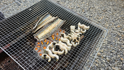 장어구이, 바베큐, 숯불, 구이, 생선구이