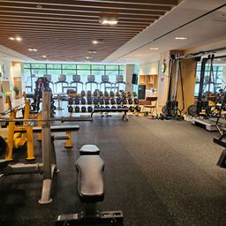 헬스장, 헬스, 운동, 운동기구, 런닝머신, 덤벨, 오운완, 헬스기구, 건강