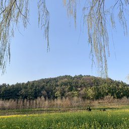 , 인테리어, 감성, 카페, 커피, 디자인, 포스터, 장식, 조명, 하늘, 구름, 물결, 바다, 파도, 파란, 전망, 아파트, 배경, 트리, 12월, 겨울, 여름, 아메리카노, 우드, 오름, 호수, 잔디, 벗꽃, 접시, 하동