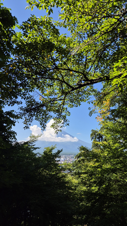 일본, 일본소도시, 후지산, 일본시골