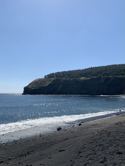 자연, 풍경, 바다, 해변, 하늘, 여름, 제주도