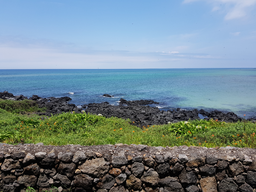 제주돌담, 제주, 돌담, 바다, 제주바다, 하늘, 봄, 봄날, 오후