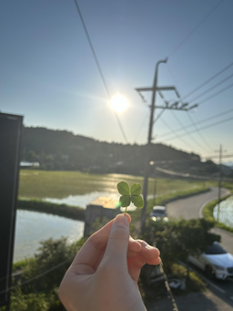 자연, 풍경, 동물, 노을, 하늘, 바다, 물결, 꽃, 음식, 무지개, 감성