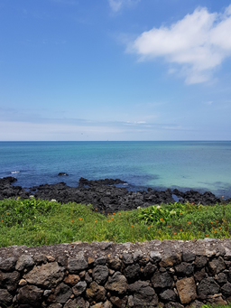 제주돌담, 제주, 돌담, 바다, 제주바다, 하늘, 봄, 봄날, 오후