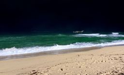밤바다, 동해, 파도, 거친, 바다, 모래사장, 해변, wave