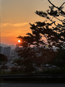 노을, 풍경, 석양, 하늘, 풍경사진