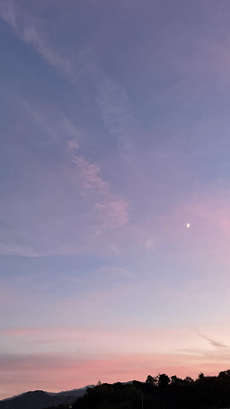 풍경, 하늘, 노을, 보랏빛, 분홍빛, 무지개, 단풍나무, 자연, 장미, 꽃