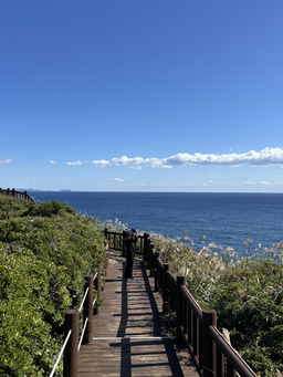 바다, 제주, 제주도, 풍경, 여행, 자연풍경, 자연