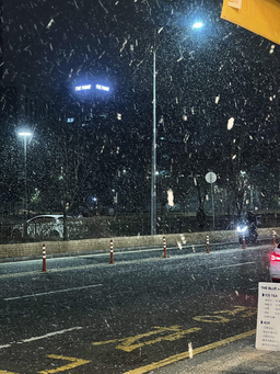 풍경, 바다, 감성, 산, 나무, 눈