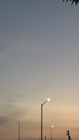 구름, 밤, 달, 건물, 벽지, 풍경, 노을, 갈대, 핑크뮬리, 하늘, 비행기, 야경, 랜드마크, 꽃, 풀, 전등, 빛, 과일, 인형, 햇살