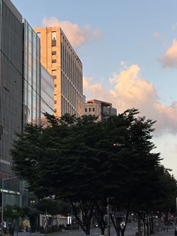 일상, 풍경, 감성, 배경화면