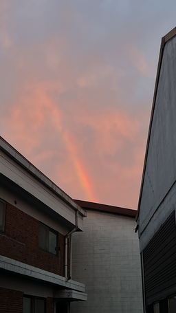 핑크하늘, 구름, 하늘, 저녁노을, 노을진하늘, 건물, sky, cloud, pink, 배경화면, 배경, 하늘배경, 건물배경
