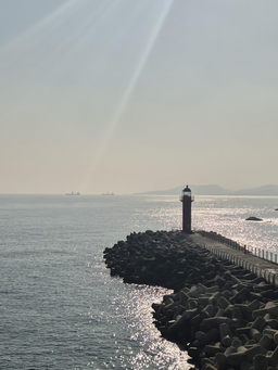 등대, 방파제, 바다풍경, 여행사진, 고요한바다, 감성여행, 햇살빛, 오션감성, 자연힐링, 풍경사진