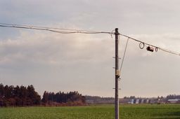 전신주, 전봇대, 전선, 전력선, 전기, 전력, 전력설비, 기반시설, 농촌, 시골