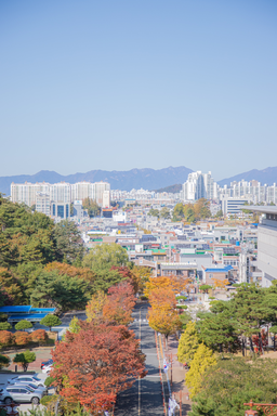 도시풍경, 거리, 드론, 하늘, 맑은날씨, 도시, 가을, 봄, 나무, 풍경, 도시배경, 일상, 단풍, 단풍나무, 도로풍경, 도로, 건물, 전체풍경