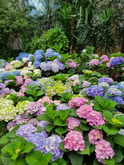 풍경
