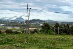 제주도, 제주, 대한민국, 한국, 농촌풍경, 시골풍경, 농경지, 농지, 밭, 들판