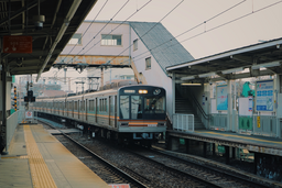 자연, 감성, 꽃, 하늘, 바다