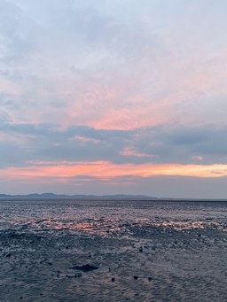 갯벌, 바다, 하늟, 구름, 노을, 핑크하늘, 붉은하늘, 붉은노을, sky, ocean, beach, sun, cloud, sunset, 배경화면, 배경, 노을사진
