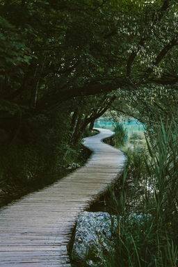 길, 나무, 초록, 뻥, 뚫인, 평화, 힐링, 빛, 예쁜, Way, Trees, Green, Its, a, lie, pierced, Peace, Healing, Light, Pretty