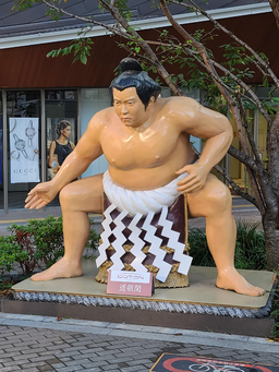 뒤쪽에, 사람, 스모, 레슬링, 성인, 여성, 여성, 입욕, 얼굴, 몸통