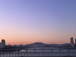 자연, 풍경, 동물, 노을, 하늘, 바다, 물결, 꽃, 음식, 무지개, 감성