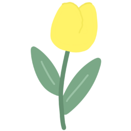 튤립, 꽃, Tulip, flower, yellow, 노랑, 봄, spring