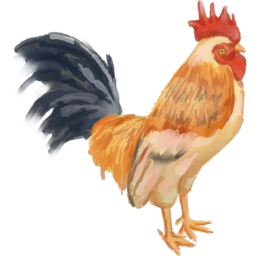 수탉, 닭, 버드, 농장, animal, 가금, 암탉, 깃털, red, 부리, 농촌, 가축, 수채화, 수채, 손그림, 동물, 치킨, 백숙, 삼계탕