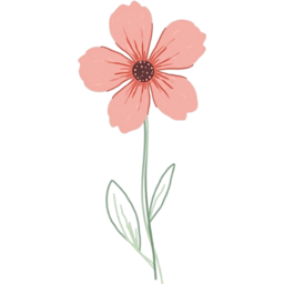 꽃, 한송이