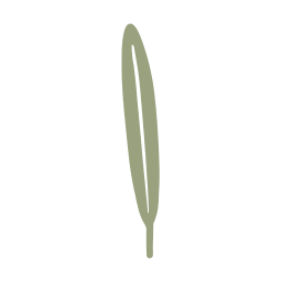 로즈마리, 잎, 허브, 식물, 일러스트, 그림, 손그림, 향기, 자연, SVG