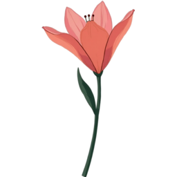 꽃, 한송이