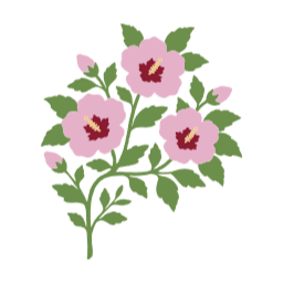 대한민국, 무궁화, 무궁화그림, 무궁화꽃, 무궁화일러스트, 삼일절, 식물, 여름꽃, 일러스트, 한국