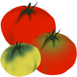 토마토, Tomato, 토마토세알, ㄹㄹㅍ