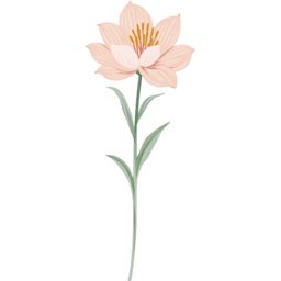 꽃, 한송이