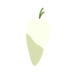 cabbage, lemon, radish, habanero, pepper, 고추, 하바네로, 야채, 채소, 무, 양배추, 레몬, 토마토, tomato, 채식, 캐릭터, 신선한, fresh, green, vegan