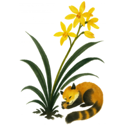멸종위기, 식물, 희귀생물, 보호종, 멸종위기식물, 환경보호, 생물다양성, 지구의날, 생태그림, 자연일러스트, 먹물드로잉, 연필스케치, 손그림스타일, 수묵화느낌, 감성일러스트, 한국화스타일, 자연드로잉, 희귀식물, 야생화그림, 숲속동물, 식물일러스트, 교육자료, 인테리어소품, 투명배경PNG, 스톡일러스트