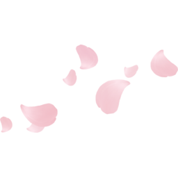 벚꽃, 벚꽃잎, 봄, 자연, 식물, 화사한, 흩날리는, 꽃잎, 장식, cherry, blossoms, nature, flutter, flower, spring