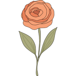 봄, 식물, 식집사, 반려식물, 플랜테리어, 꽃, 꽃송이, 예쁜꽃, 장미, rose, flower, 플라워일러스트, 꽃그림, 감성일러스트, 자연, nature, plant, 분홍꽃, rosy, 우아한꽃, spring, 여름, summer, 일러스트, illustration, 스티커, sticker, 장식요소, 툴디요소, 감성디자인