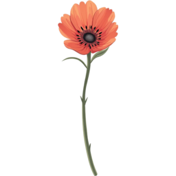 꽃, 한송이