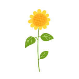 해바라기, 꽃, 썬플라워, 여름꽃, sunflower, 가을꽃
