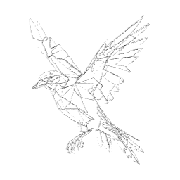 새, 버드, bird, 새일러스트, 새그림, 조류, 새라인아트, 라인아트, 날개, wing, to, 새삽화, 새포스터, 새드로잉, 새디자인
